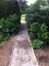 Devon Landscape gardener