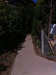 Devon Landscape Designer