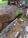 Devon landscape Design