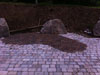 Landscape design Devon