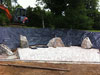 Landscape designer Devon