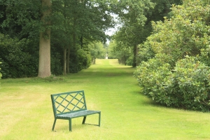 Garden Maintenance Newton Abbot