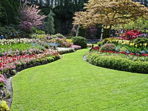 Lawn Maintenance Newton Abbot