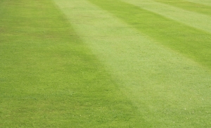 Lawn care maintenance